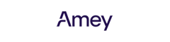 Avonmouth Bridge Manager Logo
