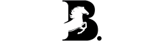 Black Point Recruitment LTD Logo